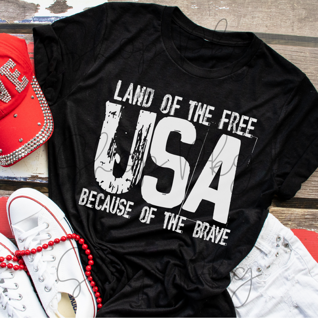 Land of the Free Because of the Brave Print